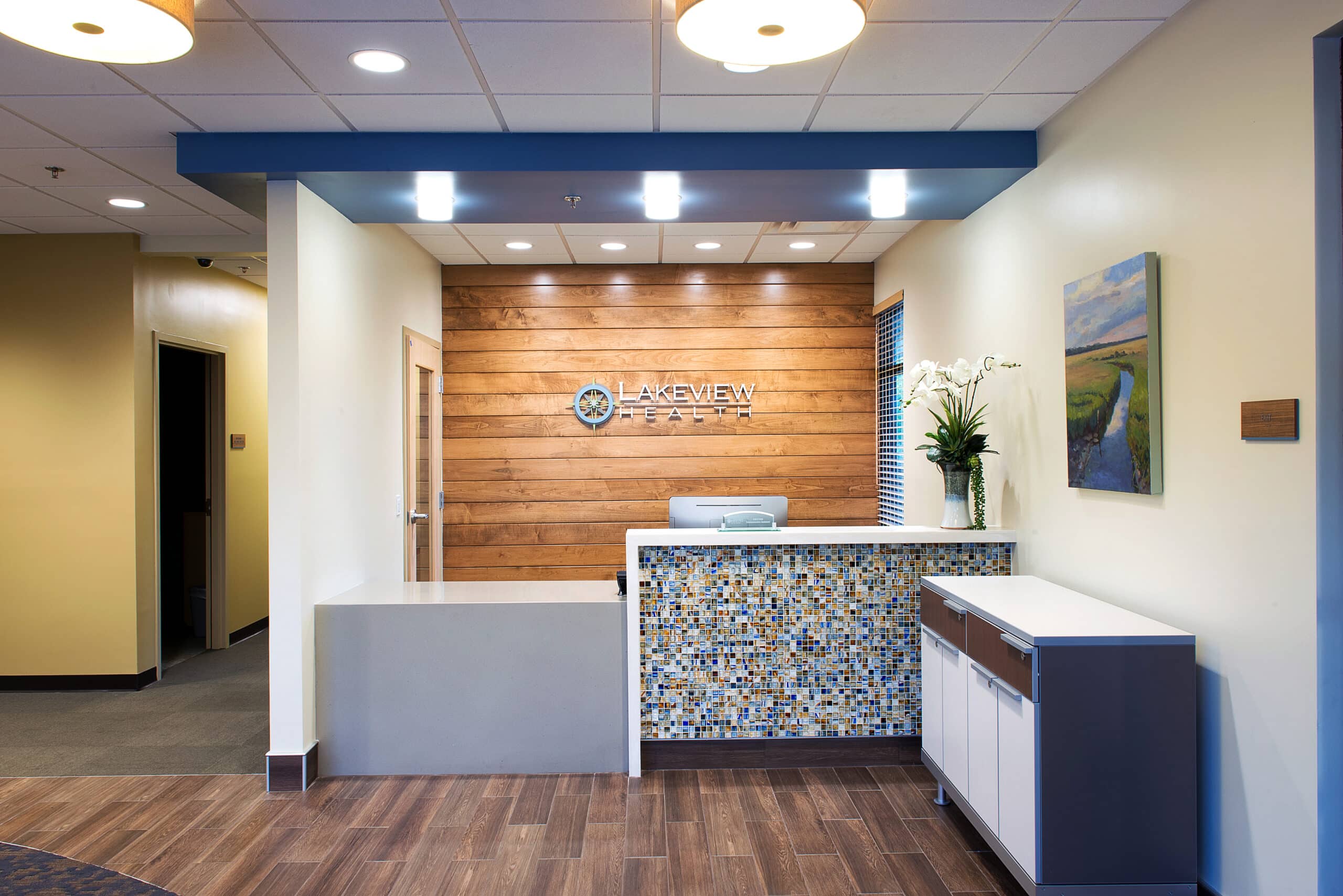 Lakeview Health Now Accepts Blue Cross Blue Shield - Florida Insurance